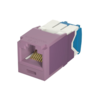 PANDUIT CATEGORY 6A, UTP, RJ45, 10 GB-S, 8-POSITION, 8-WIRE UNIVERSAL MODULE, AVAILABLE IN VIOLET